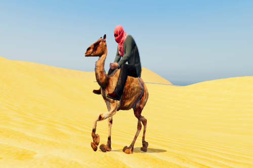 Camel Mods